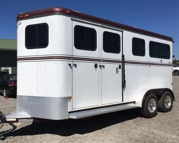 2007 Hawk 2 Horse Bumper Pull Side Ramp